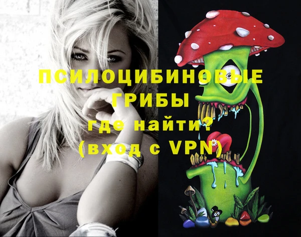 первитин Горняк