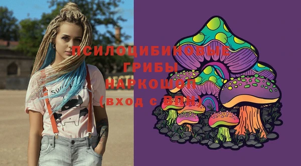 PSILOCYBIN Горно-Алтайск